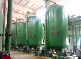 陽(yáng)陰離子交換器
